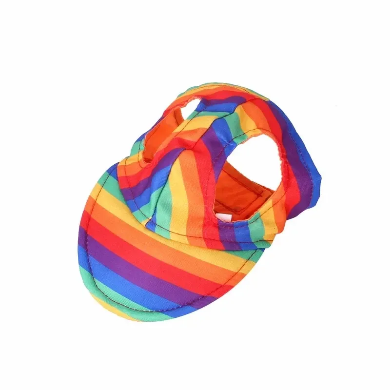 Small Dog Rainbow Hat
